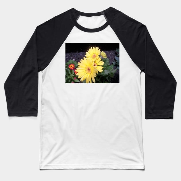 Chrysanthemum Baseball T-Shirt by Jujucreation